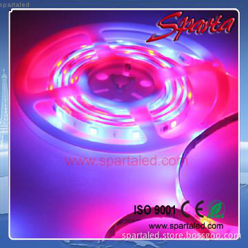 waterproof IP67 SMD5050 LED strip light  outdoor decoration strip
